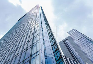 Company profile